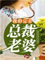 我的完美總裁老婆