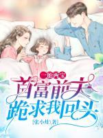 一胎兩寶：首富前夫跪求我回頭