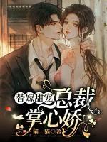 替嫁甜寵：總裁掌心嬌