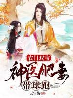 農(nóng)門雙寶，神醫(yī)肥妻帶球跑