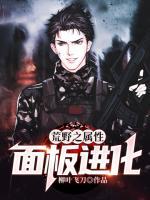 荒野之屬性面板進化