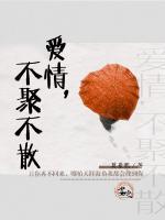 愛情，不聚不散