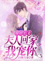 帶娃追妻：夫人回家我寵你