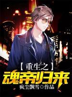 重生之魂帝歸來