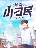 極品刁婿
