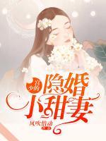 宮少的隱婚小甜妻