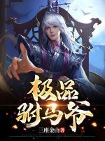 極品駙馬爺