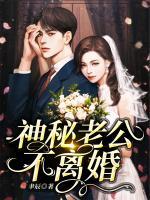 神秘老公不離婚