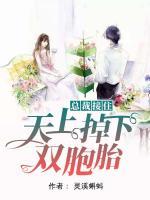 總裁接住，天上掉下雙胞胎