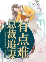總裁追妻有點(diǎn)難