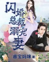 閃婚總裁溺寵妻