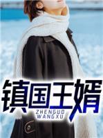 鎮(zhèn)國王婿