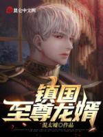 鎮(zhèn)國至尊龍婿