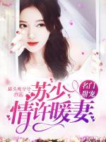 名門(mén)甜寵：蘇少情許暖妻