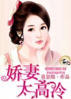 嬌妻太高冷