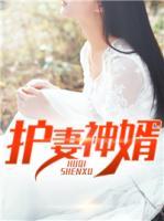 護(hù)妻神婿