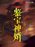 鑒寶神婿