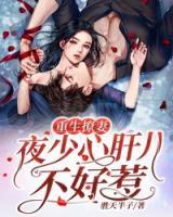 重生撩妻，夜少甜心不好惹