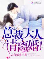 總裁大人，請離婚！