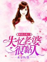 霸道總裁之失憶老婆很黏人