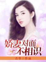 嬌妻對面不相識