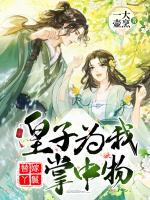 替嫁丫鬟：皇子為我掌中物
