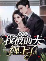 離婚后，我被前夫纏上了