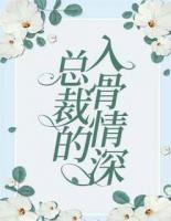總裁的入骨情深