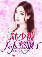 陸少被夫人整服了
