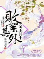 敗絮其外，金玉其中