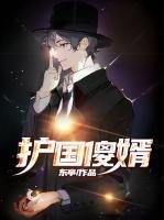 護(hù)國(guó)傻婿