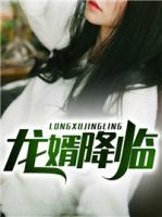 龍婿降臨