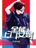 全能上門女婿