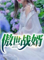 傲世戰(zhàn)婿