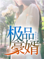 極品豪婿