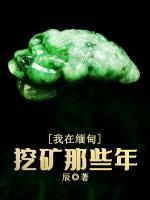 我在緬甸挖礦那些年