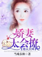 婚從天降：嬌妻太會(huì)撩