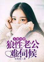 不娶何撩：狼性老公難伺候