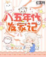 八五年代發(fā)家記