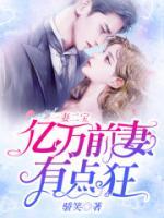 一妻二寶：億萬前妻有點狂