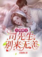 天降萌寶：司先生別來無恙