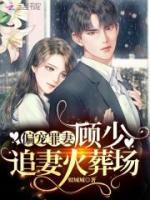 偏寵罪妻：顧少，追妻火葬場