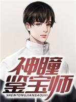 神瞳鑒寶師