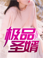 極品圣婿