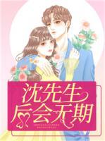 沈先生，后會(huì)無期