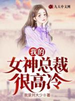 我的女神總裁很高冷