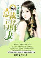 再嫁傾情：總裁的青梅妻