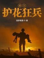 都市護花狂兵
