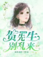 賀先生，別亂來！