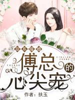 甜系暖婚：傅總的心尖寵
